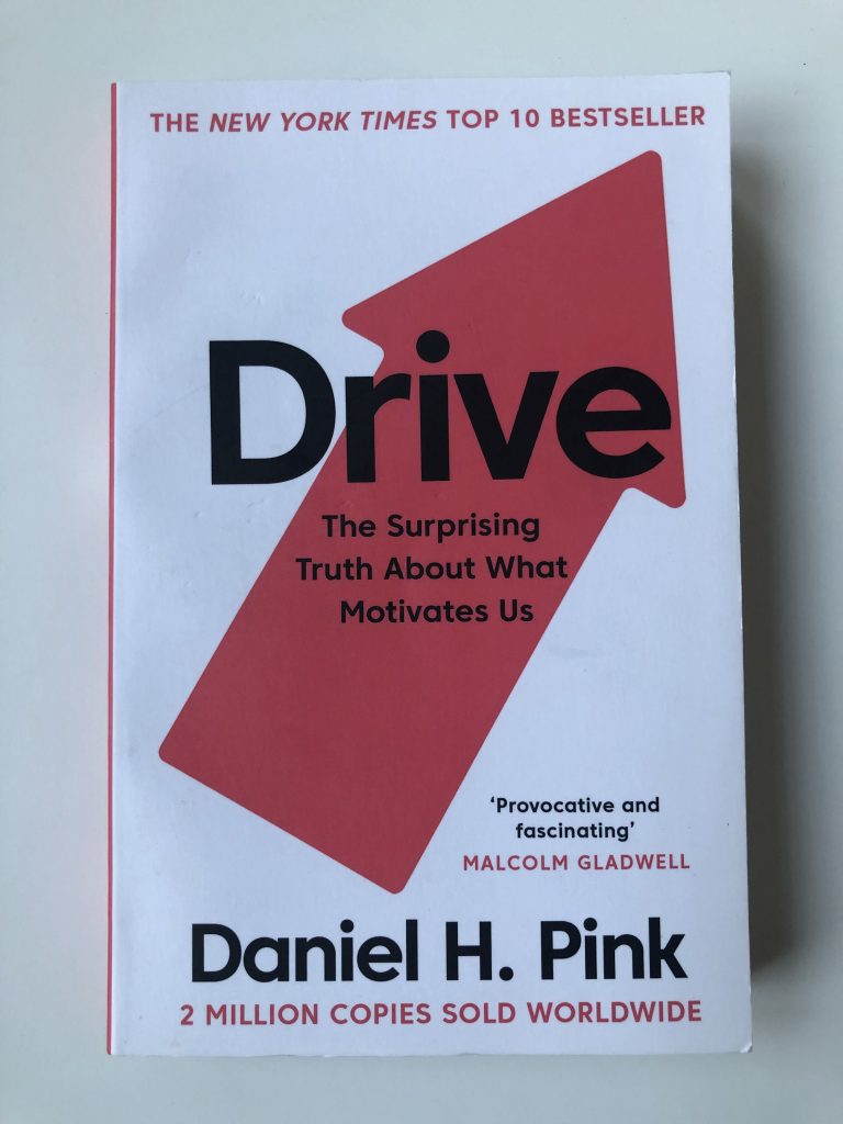 Levně Drive: The Surprising Truth About What Motivates Us