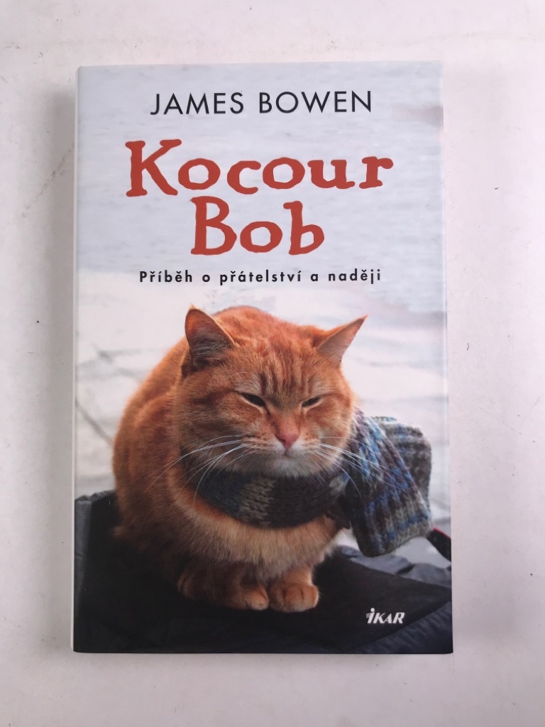 Levně Kocour Bob Pevná (2013)