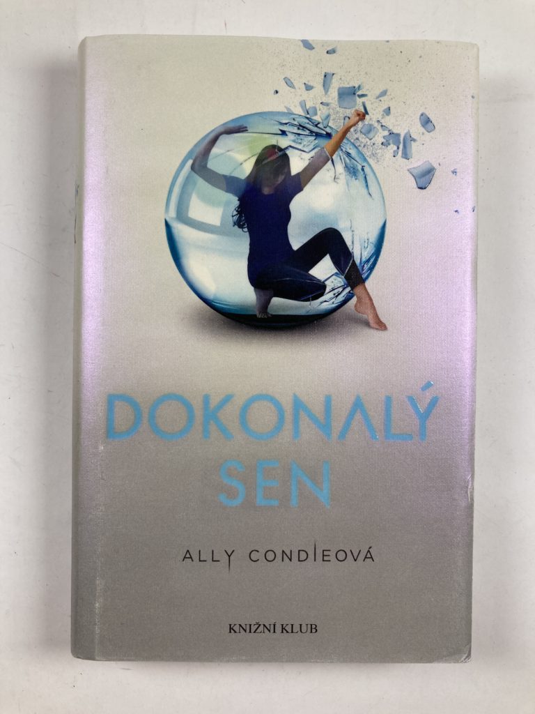 Levně Dokonalý sen
