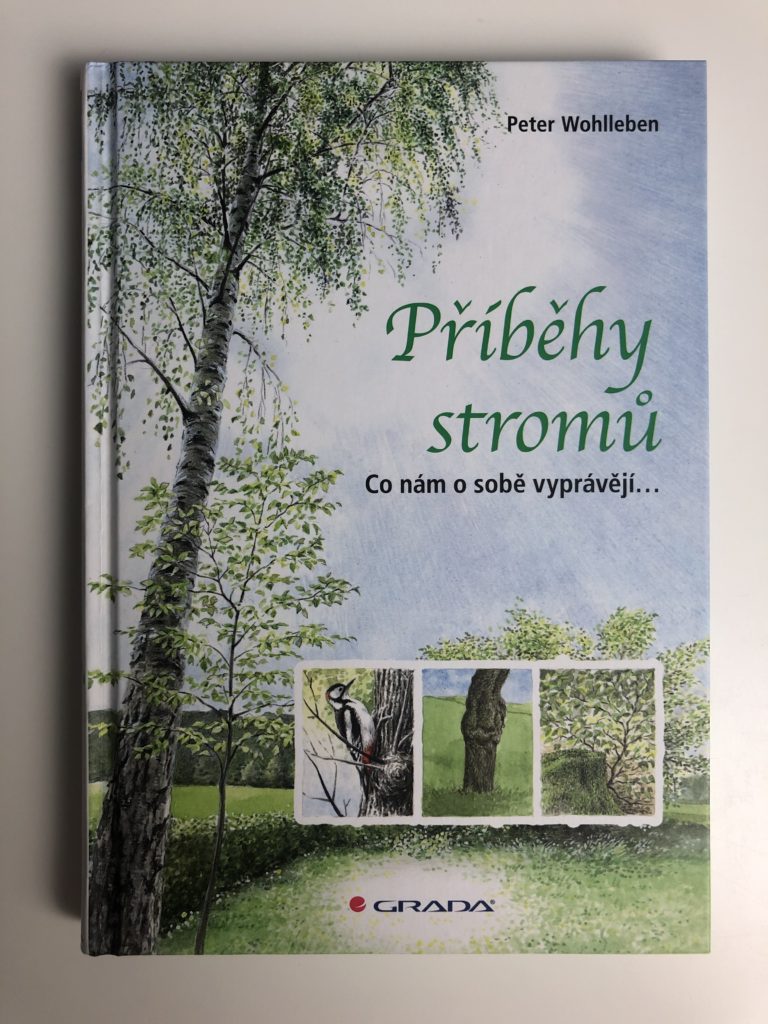 Příběhy stromů