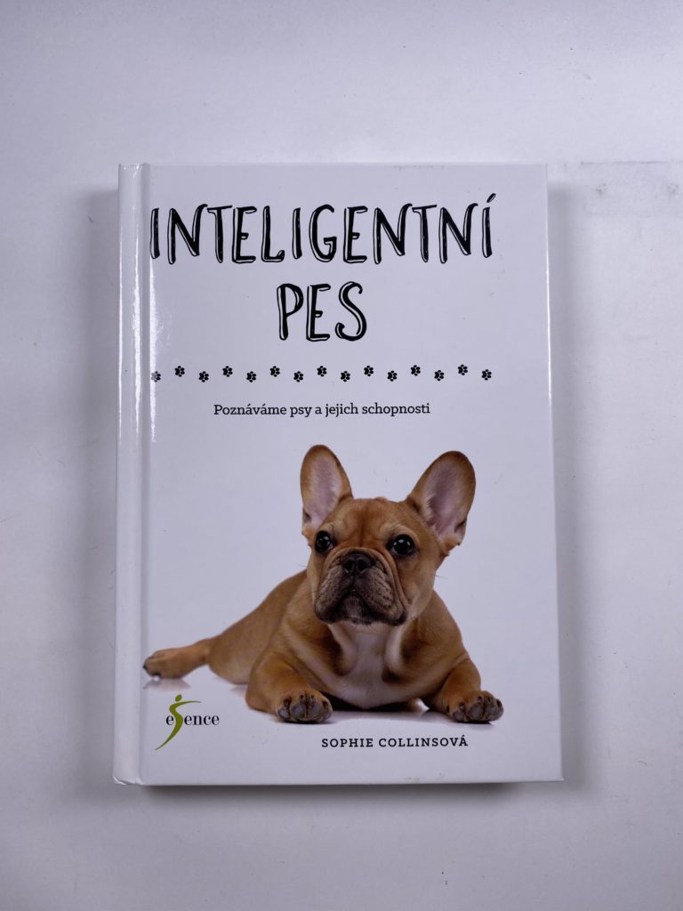 Inteligentní pes