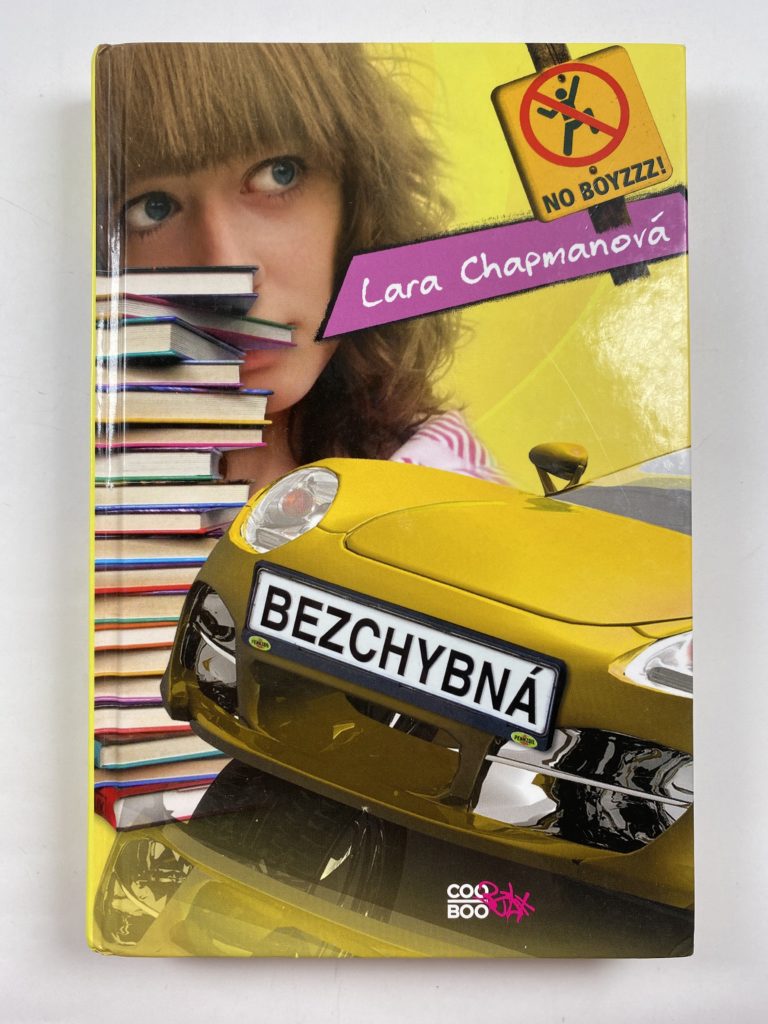 Bezchybná