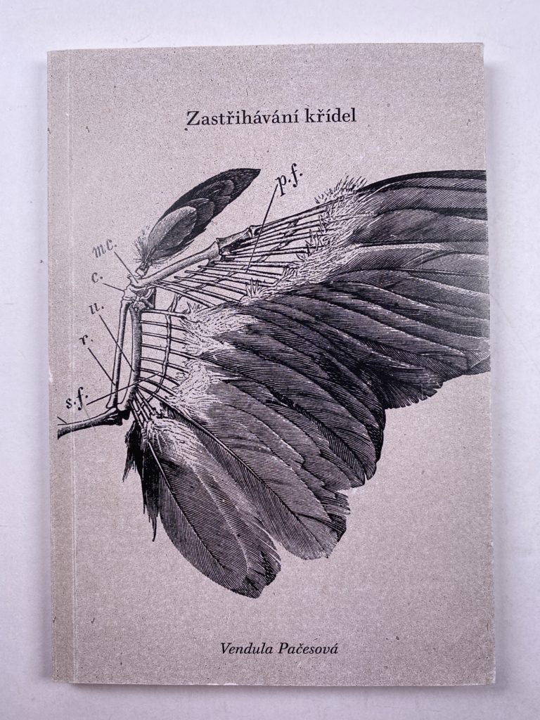 Zastřihávání křídel