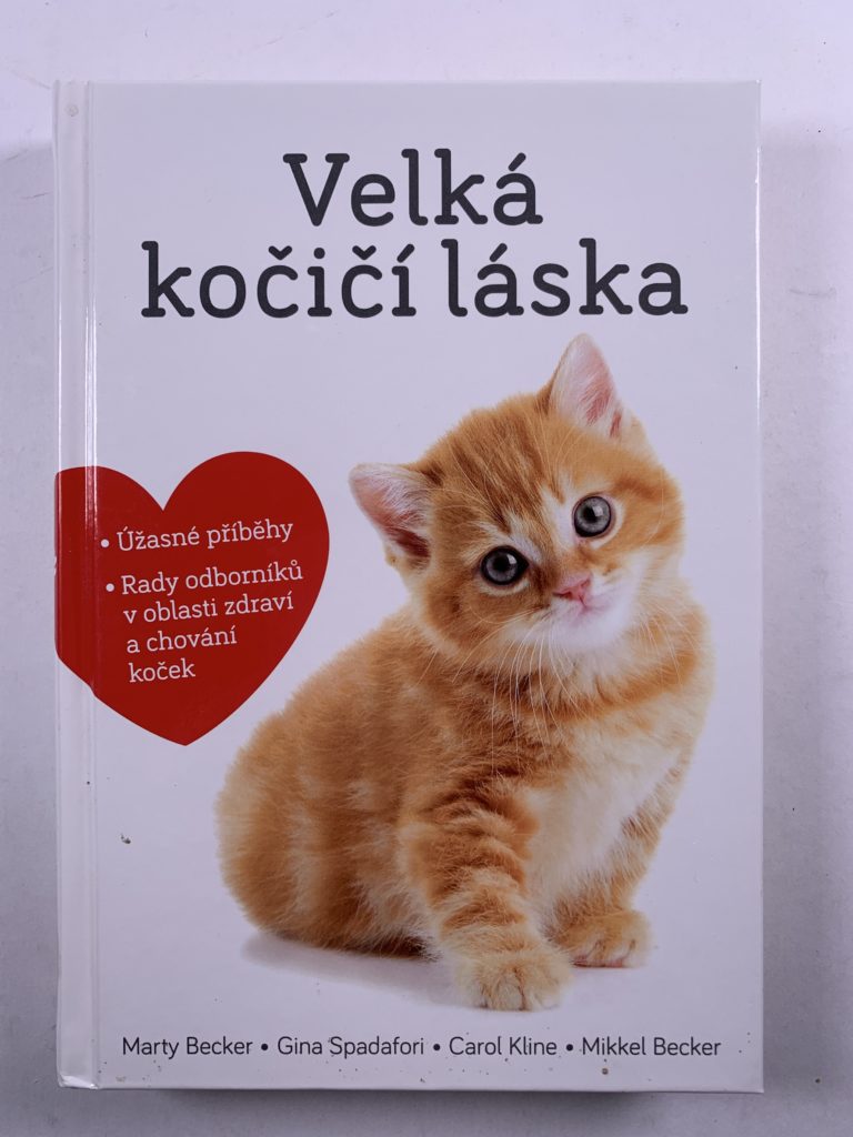 Levně Velká kočičí láska Pevná (2011)