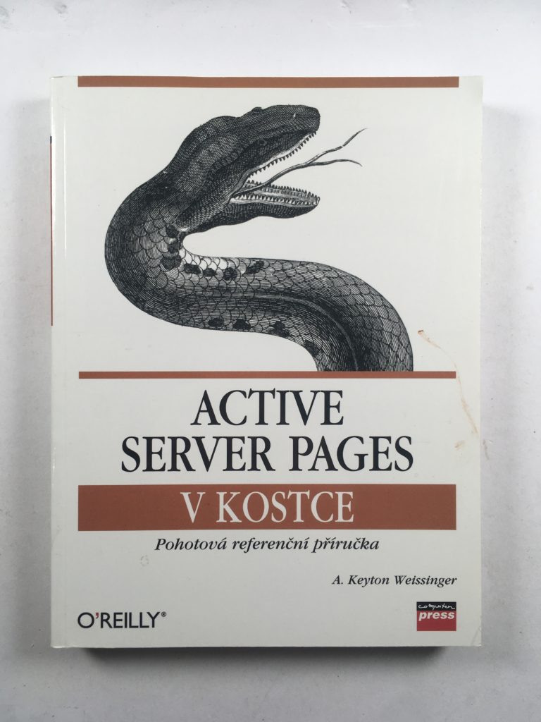 Active Server Pages v kostce – Pohotová referenční příručka Měkká (1999)