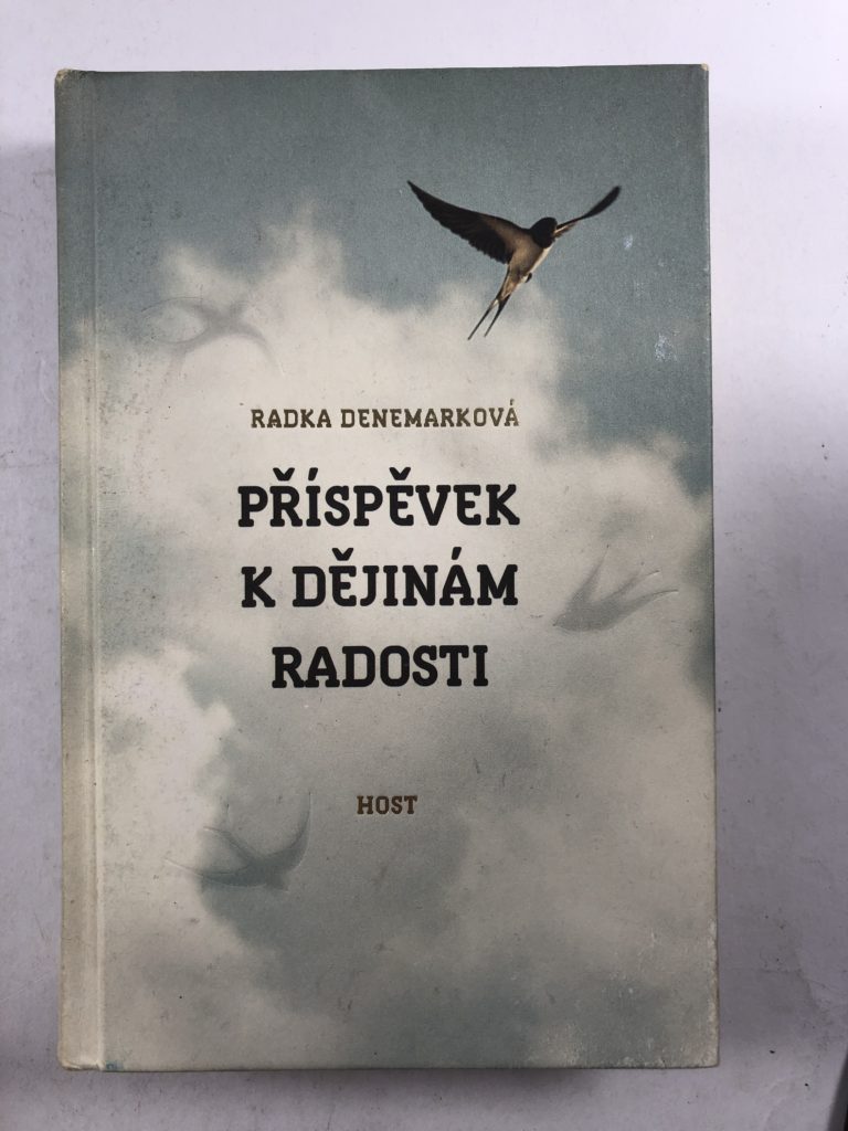 Příspěvek k dějinám radosti