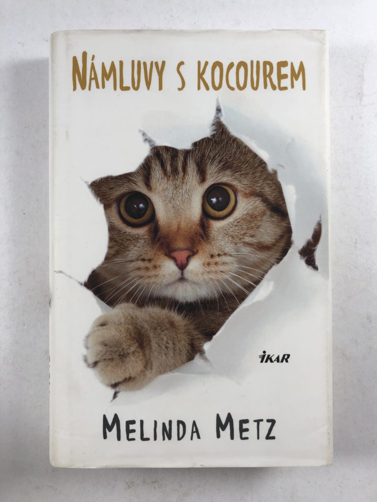 Námluvy s kocourem