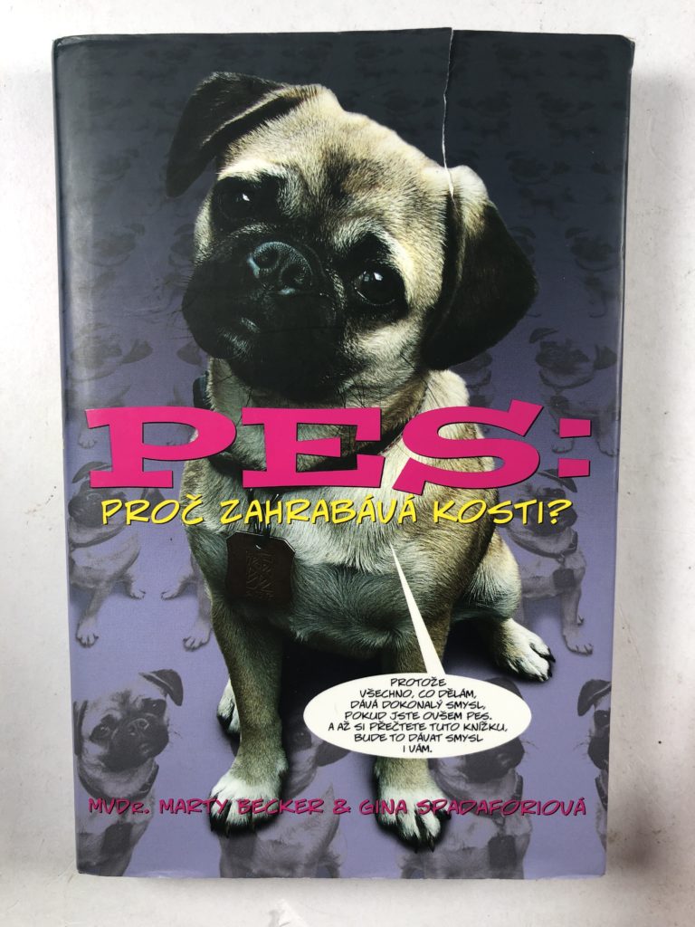 Pes: proč zahrabává kosti?