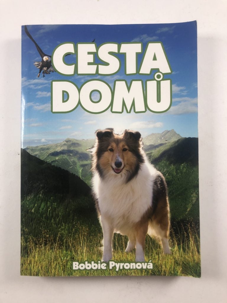 Levně Cesta domů