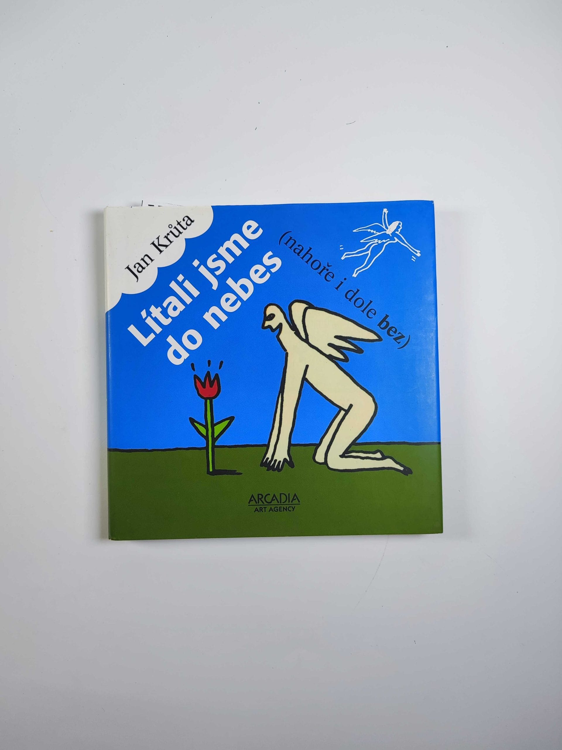 Levně Lítali jsme do nebes
