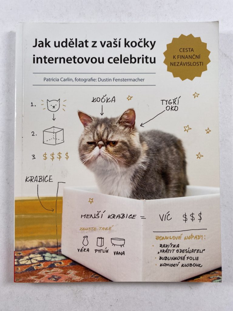 Jak udělat z vaší kočky internetovou celebritu