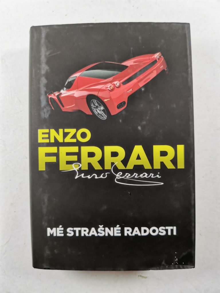 Mé strašné radosti