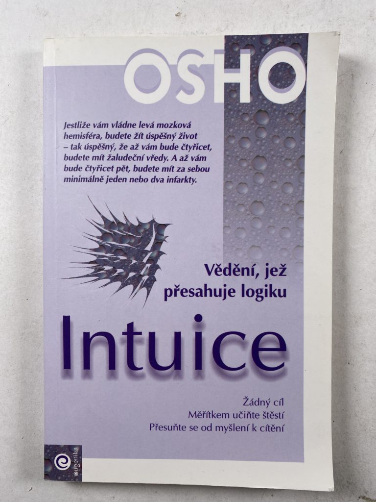 Levně Intuice