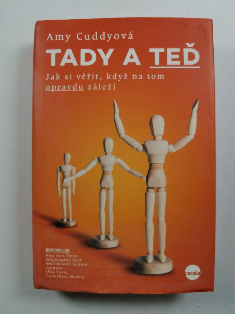 Tady a teď Pevná (2016)