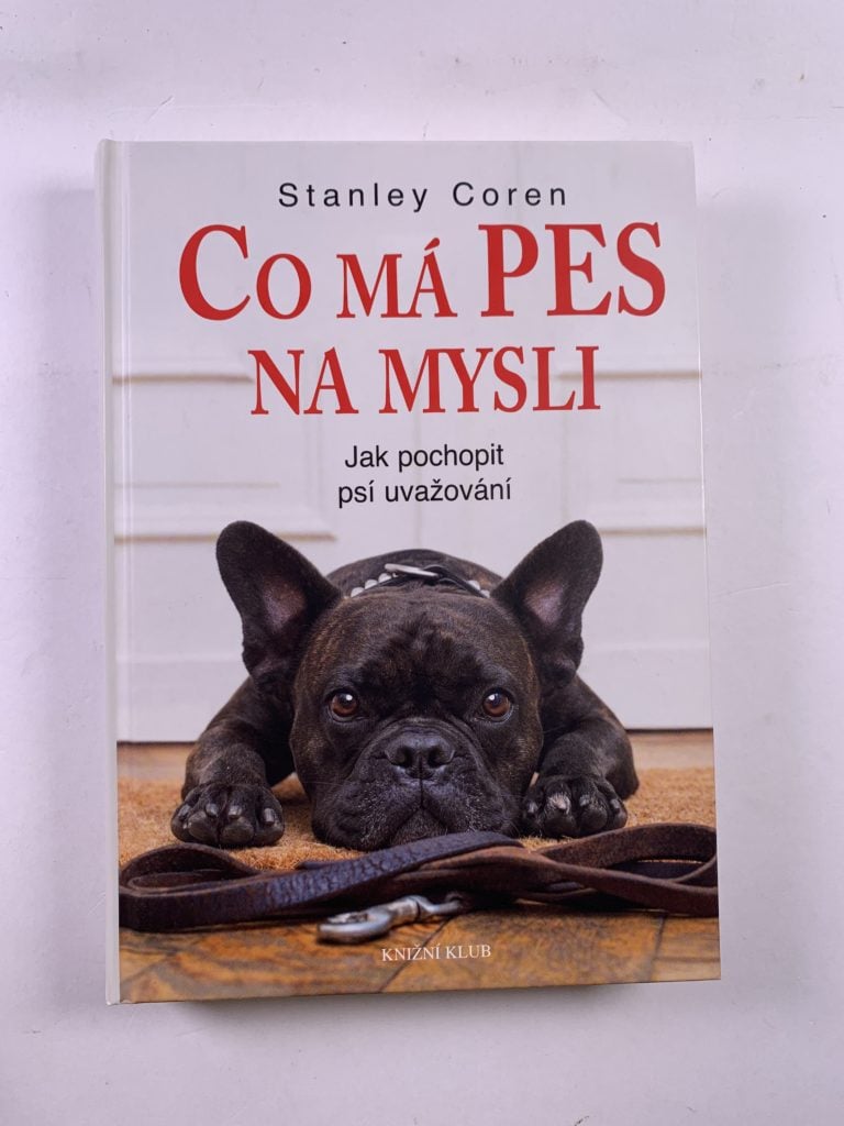 Co má pes na mysli - Jak pochopit psí uvažování