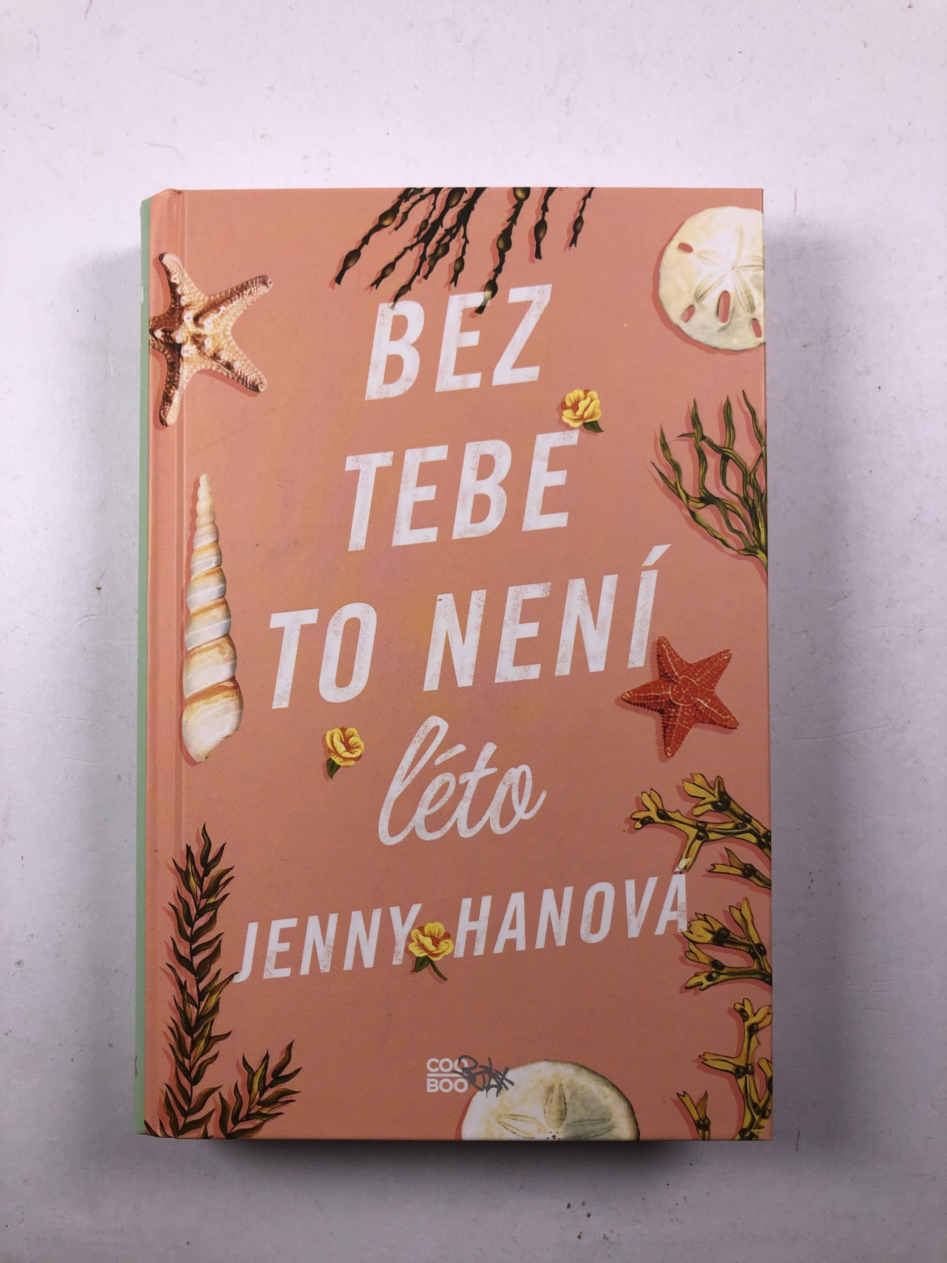Bez tebe to není léto Pevná (2019)