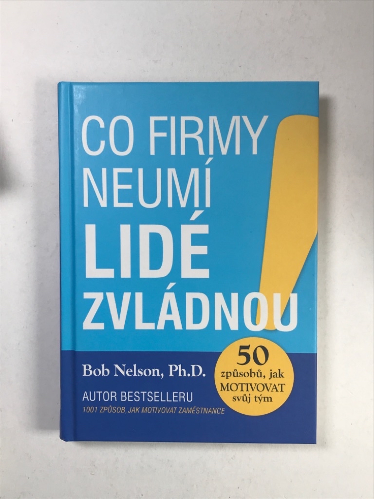 Co firmy neumí, lidé zvládnou