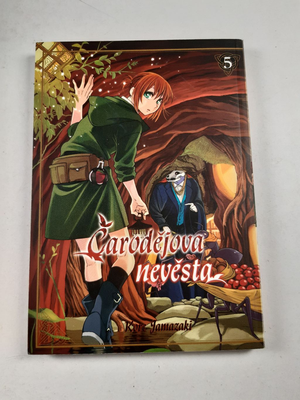 Levně Čarodějova nevěsta 5