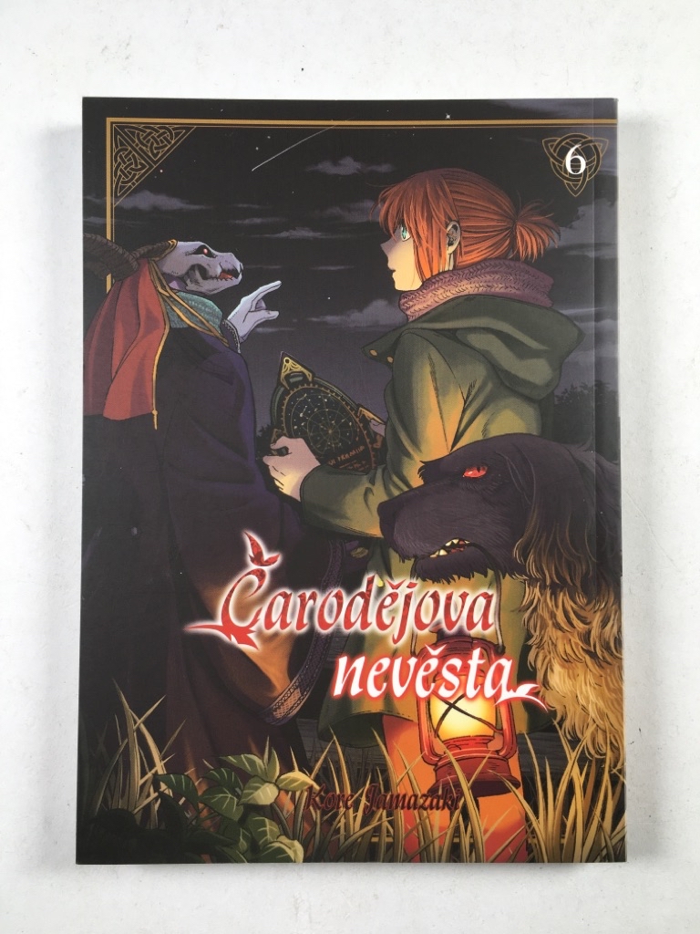 Levně Čarodějova nevěsta 6