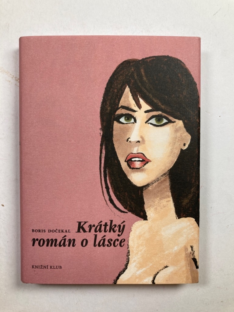 Krátký román o lásce