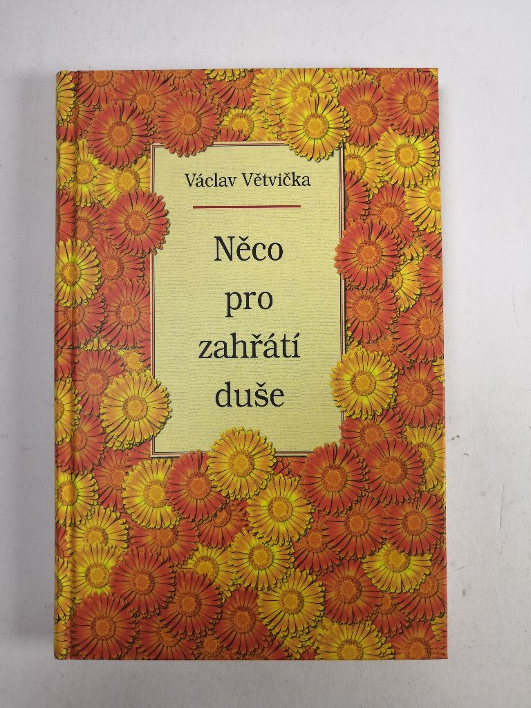 Levně Něco pro zahřátí duše