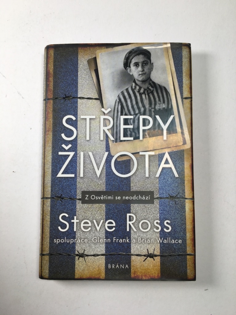 Levně Střepy života Pevná (2019)