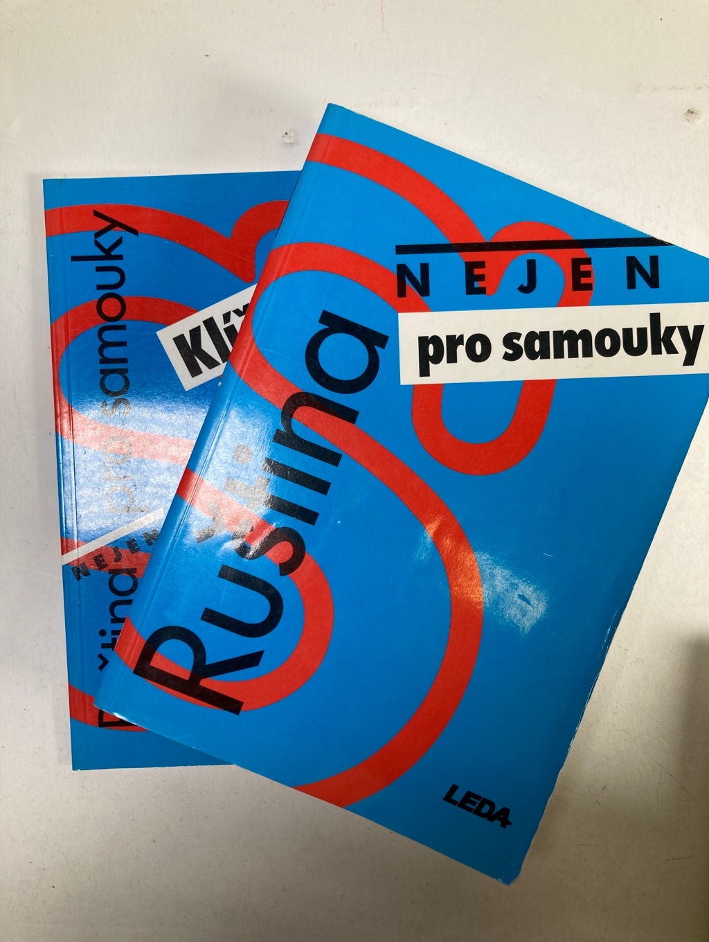 Levně Ruština nejen pro samouky Měkká (2004)