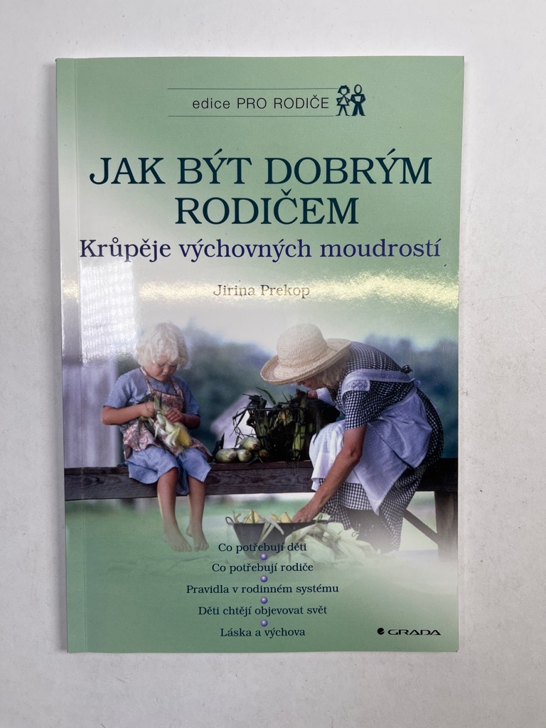 Levně Jak být dobrým rodičem