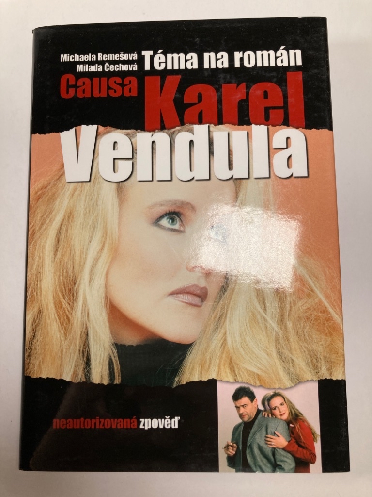 Levně Téma na román Causa Karel a Vendula