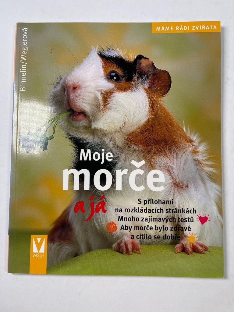 Moje morče a já
