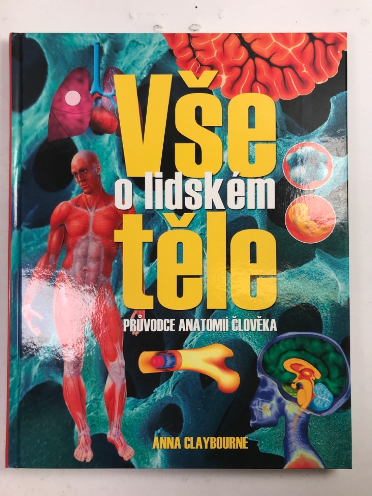 Levně Vše o lidském těle