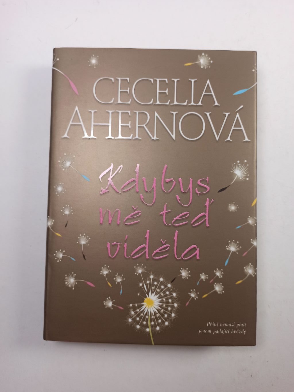 Levně Kdybys mě teď viděla Pevná (2007)