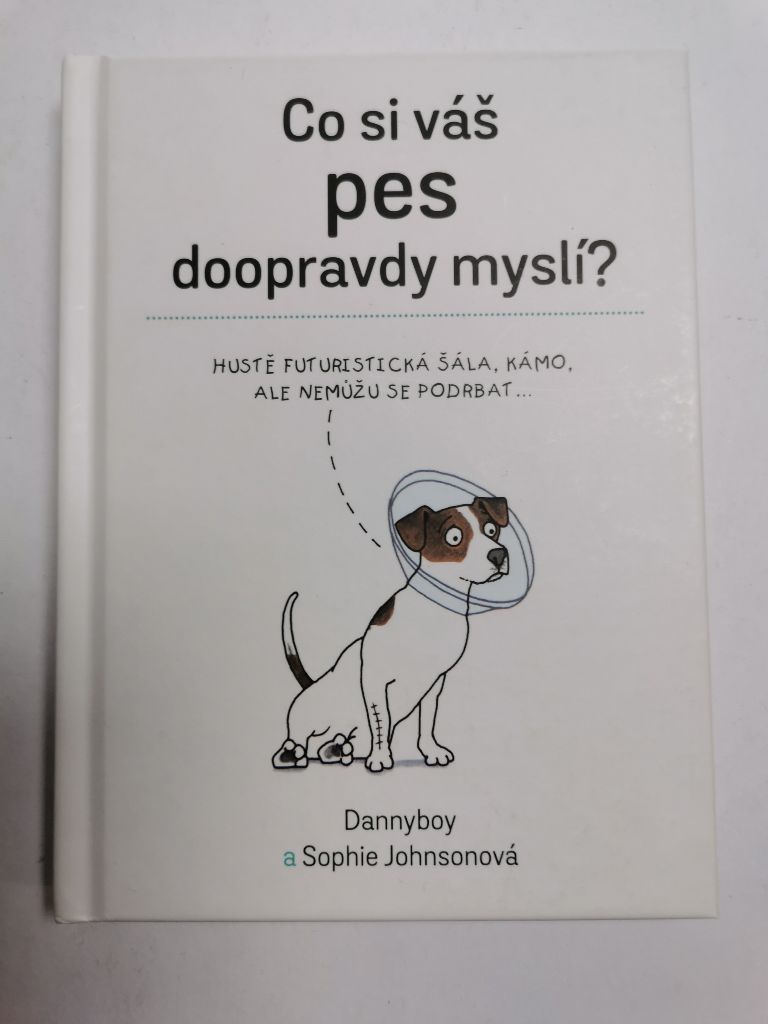 Co si váš pes doopravdy myslí?