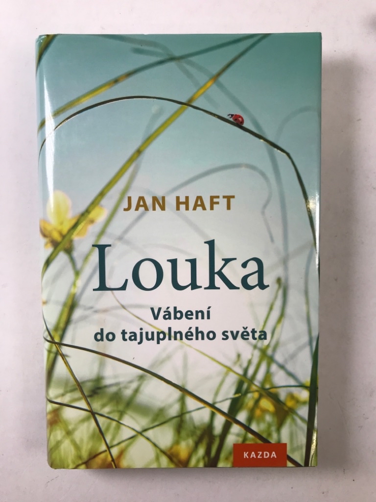 Levně Louka