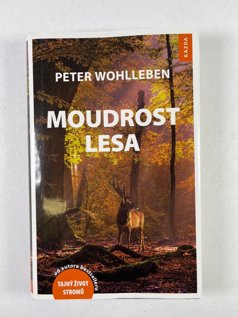 Levně Moudrost lesa