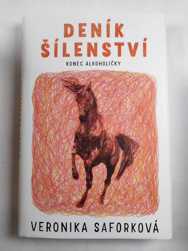 Levně Deník šílenství