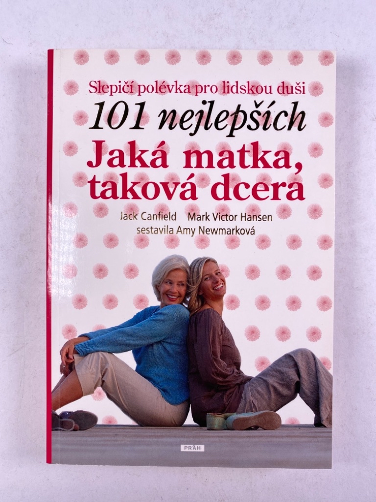 Levně Jaká matka, taková dcera - Slepičí polévka pro lidskou duši