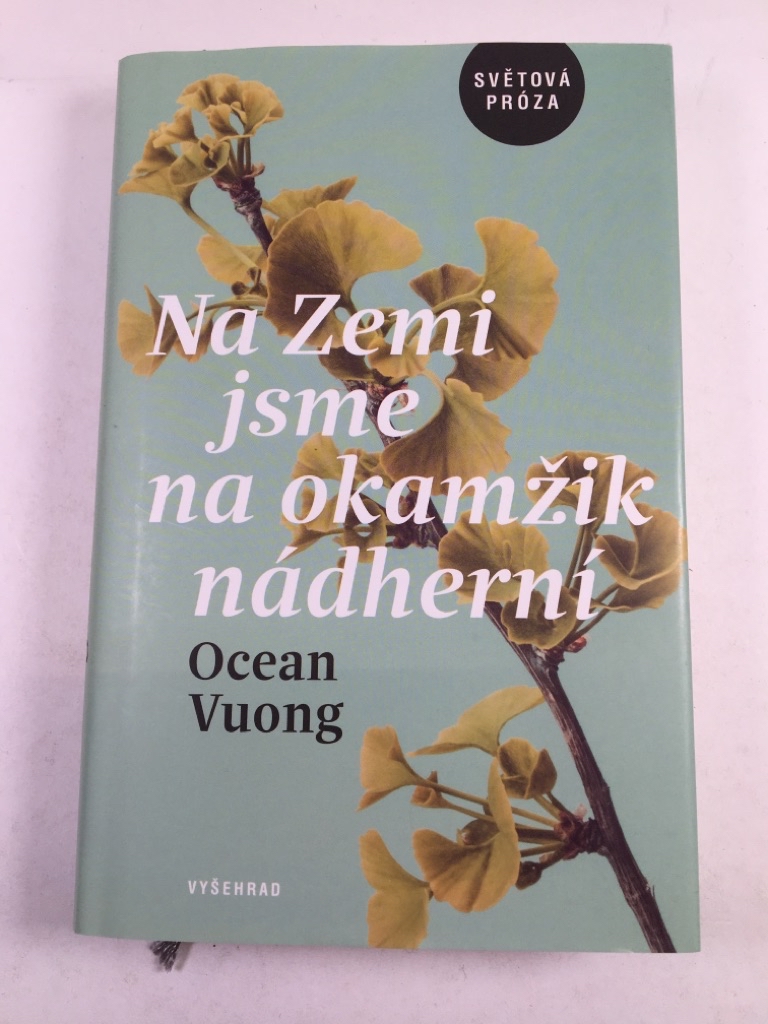 Levně Na Zemi jsme na okamžik nádherní
