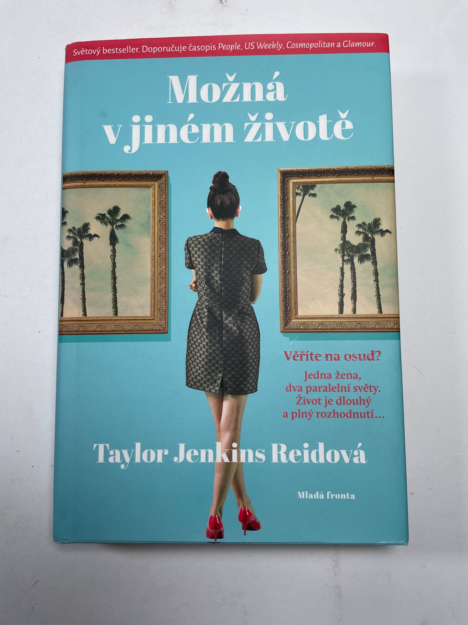 Možná v jiném životě Pevná (2015)
