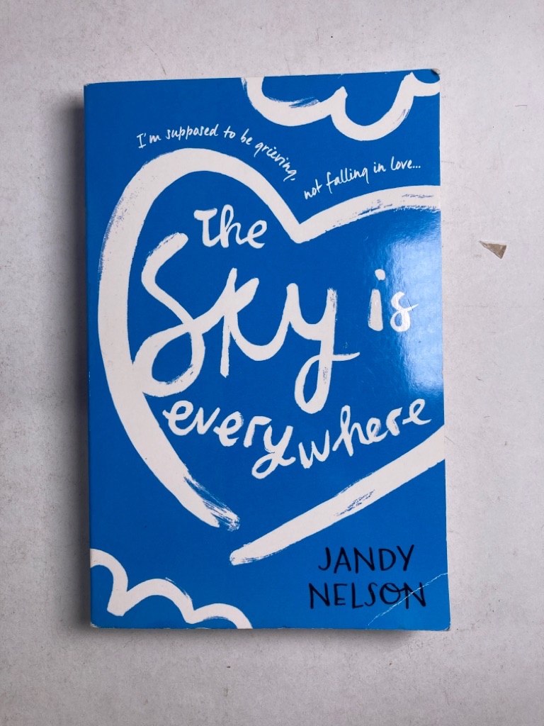 Levně The Sky Is Everywhere Pevná (2015)