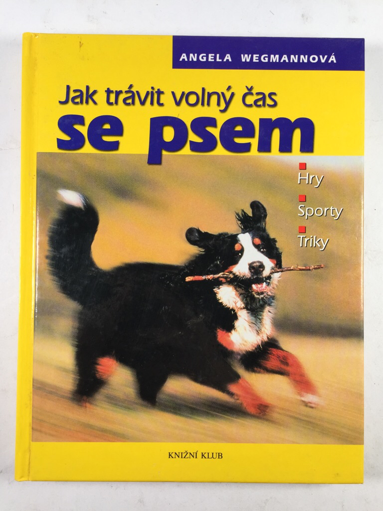 Levně Jak trávit volný čas se psem