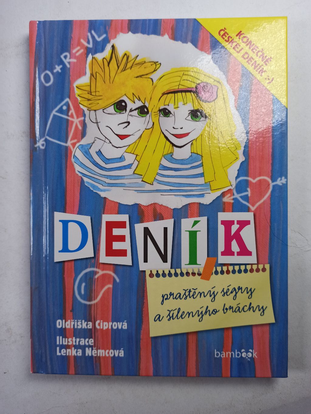 Deník praštěný ségry a šílenýho bráchy