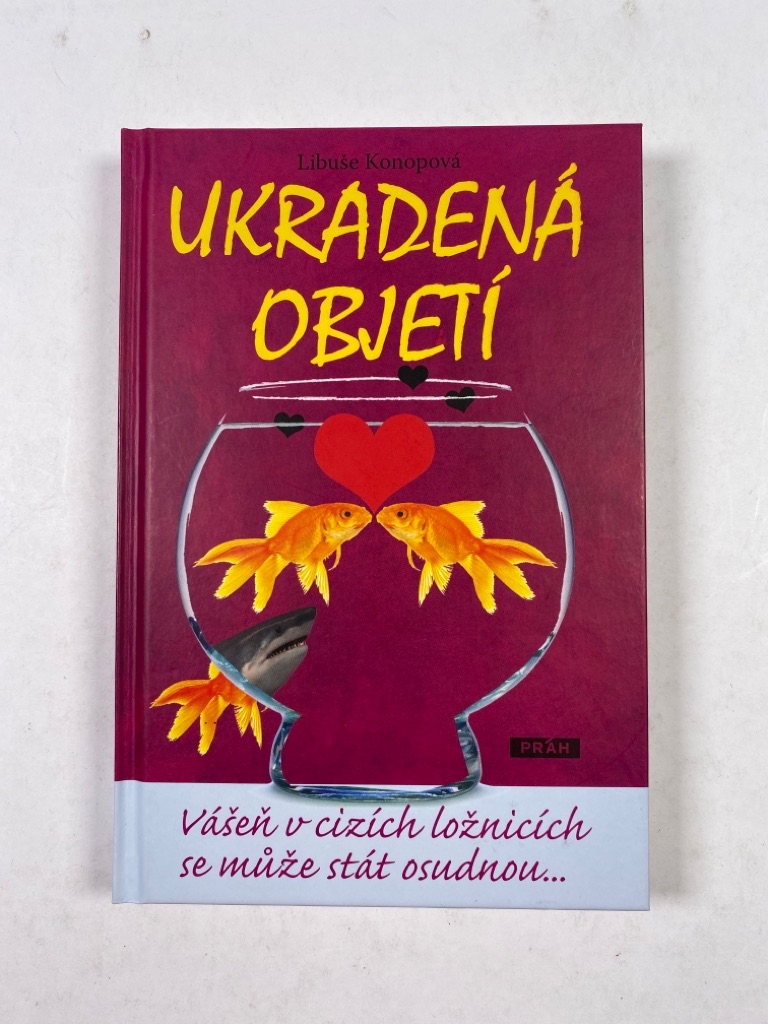Levně Ukradená objetí