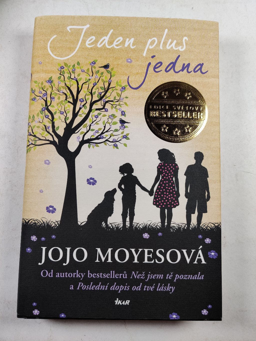 Jeden plus jedna Pevná (2021)