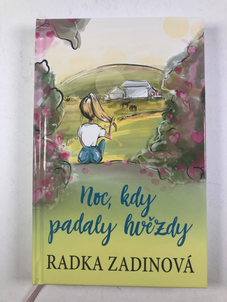 Levně Noc, kdy padaly hvězdy