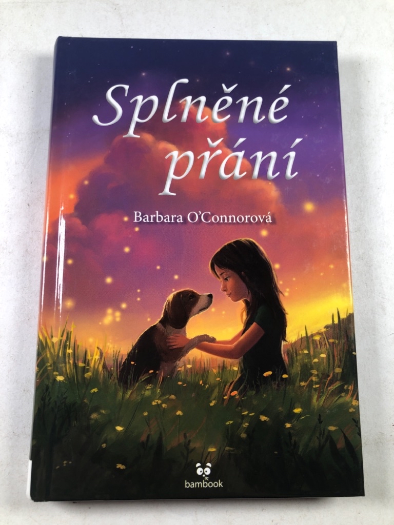 Levně Splněné přání