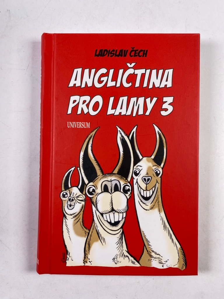 Levně Angličtina pro lamy 3