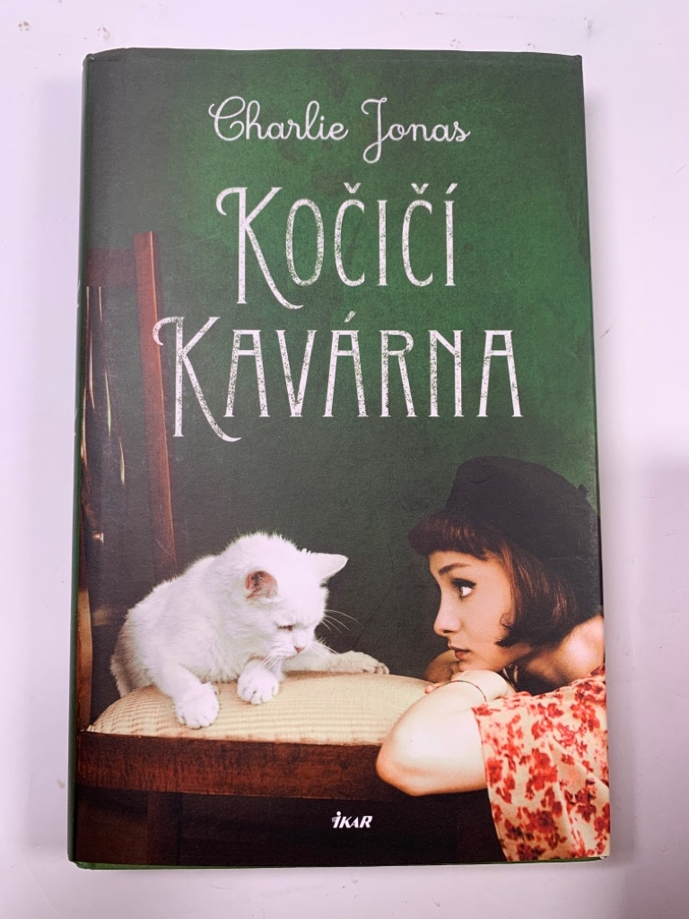 Kočičí kavárna