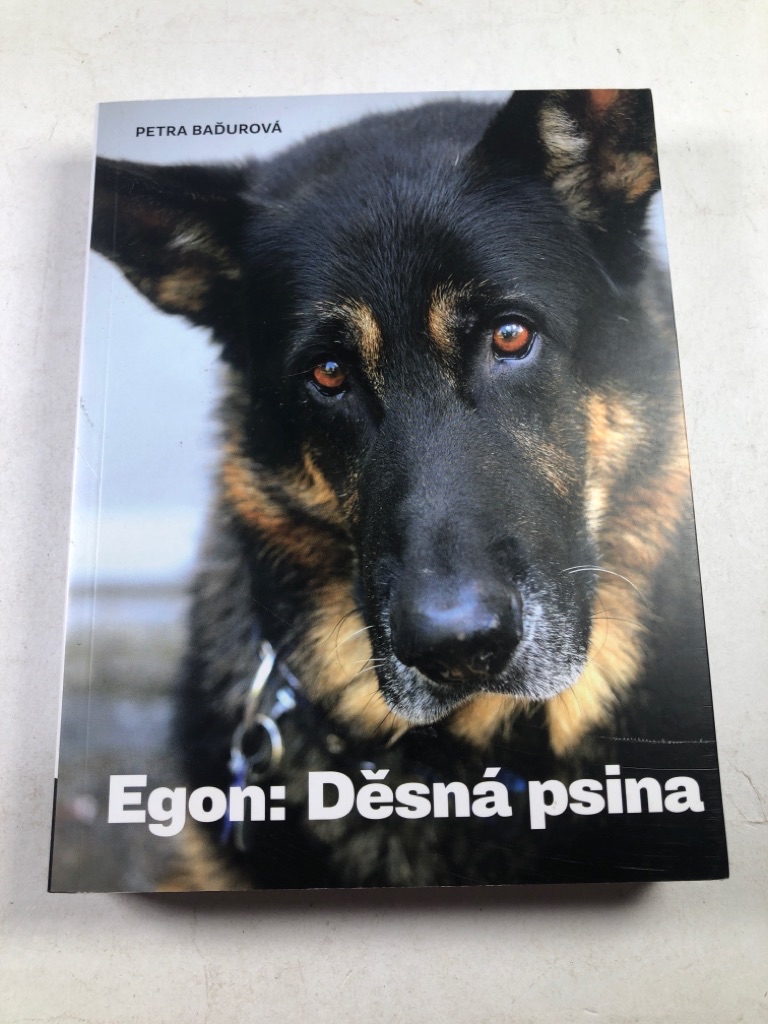 Levně Egon: Děsná psina