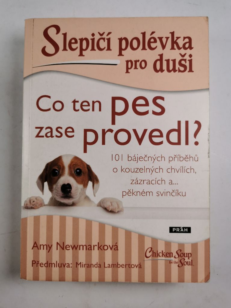 Levně Slepičí polévka pro duši – Co ten pes zase provedl?